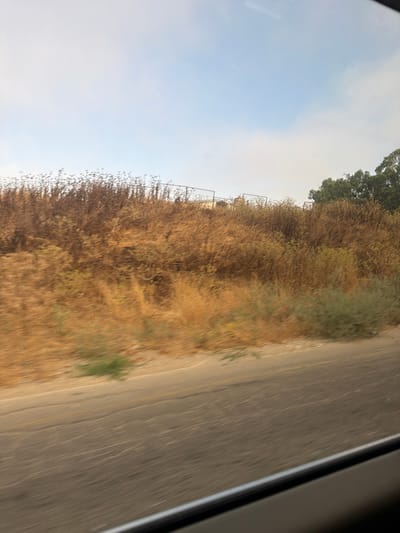 The image captures a roadside view on a hazy day, likely in Shafir Regional Council, Israel. A dry, brown hillside covered in scrub brush and tall grasses dominates the upper portion of the frame. A metal fence runs along the crest of the hill, suggesting a boundary or enclosure. In the background, dark green trees are visible against a pale blue sky. The foreground shows a blurred asphalt road, indicating movement. A small patch of green vegetation is visible on the roadside verge. The overall impression is one of a somewhat arid, rural landscape.