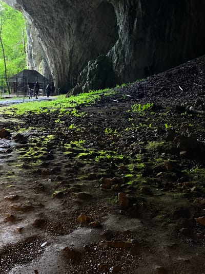 The image depicts a scene within a natural gorge or cave, with a steep, moss-covered rock face dominating the left side. The rock face is wet and appears to be part of a waterfall or a constantly damp environment, with small rocks and dark soil clinging to it. Patches of vibrant green moss and small ferns grow in clusters on the rock.
To the right, the gorge opens up to reveal more rock formations and a darker, cavernous space. In the upper right portion of the image, the entrance to the gorge is visible, with a bright green canopy of trees overhead, suggesting an outdoor location.
In the background, at the mouth of the gorge, there is a small, dark-colored building with a fence and railing, suggesting it's a visitor area or an observation point. Several people are visible near this structure, walking along a path. Their attire suggests casual outdoor wear. The overall lighting suggests it might be a cloudy or overcast day, as there are no harsh shadows, and the light is diffused. The scene evokes a sense of natural beauty and exploration within a geological formation. The location context provided is Cajetina Municipality, Serbia.