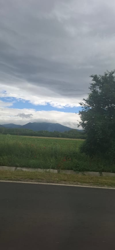 The image captures a rural landscape with a road in the foreground, a green field with red flowers in the midground, and mountains in the background under a cloudy sky. The road appears to be asphalt. The field is lush and green, dotted with scattered red poppies. A line of trees forms a border between the field and the mountains. The mountains are shrouded in a light haze, with some clouds obscuring their peaks. A large, dark green tree stands on the right side of the image, partially obscuring the view of the field and mountains. The sky is overcast with heavy gray clouds, but a patch of blue sky is visible near the horizon. The scene is likely a snapshot taken from a moving vehicle, given the angle and slight blur. The location is identified as Dolno Sahrane, Bulgaria.