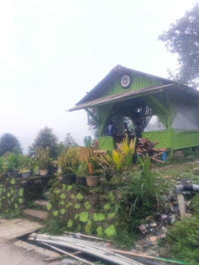 The image depicts an outdoor scene featuring a small, lime-green structure with a dark, corrugated roof, situated on a slope. A circular sign on the building's gable reads "HOTEL MELIBER MALIPER". Inside, multiple indistinct human figures are visible behind a counter, one person to the left appears to be wearing a blue shirt. The immediate foreground includes a retaining wall with irregular green painted patches over a darker base, adorned with numerous potted plants, including various succulents and broad-leafed species. Lush green foliage and trees surround the structure in the background under an overcast sky. In the bottom foreground, a bundle of white pipes lies on the ground next to what appears to be a path or road. To the right of the pipes, a collection of refuse and a larger dark pipe are visible. The image does not contain specific visual identifiers to confirm its location within Morrumbala, Mozambique.