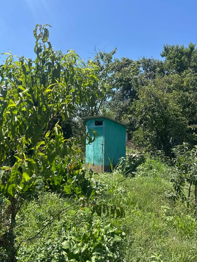 A teal wooden outhouse stands in a densely overgrown yard under a clear blue sky. The outhouse is positioned to the right of the center of the frame, nestled amongst lush green foliage. A large tree with vibrant green leaves dominates the left side of the image, partially obscuring the outhouse. The ground is covered in thick grass, weeds, and various plants, suggesting a somewhat unkempt outdoor space. In the background, more trees create a dense green backdrop. The scene appears to be set in a rural or semi-rural environment, possibly a private garden or backyard in Dzherokay, Russia. There are no people or animals visible in the image, and no actions or interactions are taking place. The lighting suggests a sunny day.