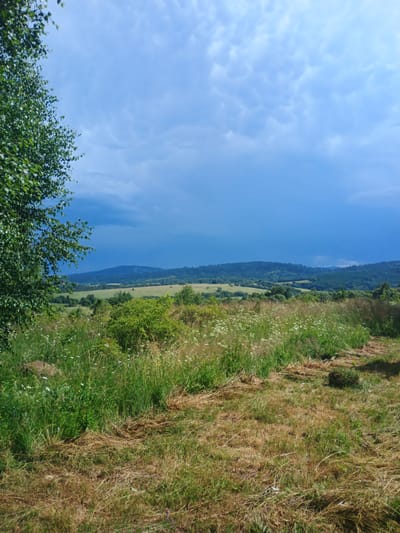 An outdoor, eye-level, landscape photograph depicts a view of rolling hills and a partly cloudy sky. In the foreground, to the left, is a portion of a large tree with green foliage. The midground is filled with a field of tall, green grass dotted with white wildflowers. Beyond the field, there are more green trees and a valley with fields and a few structures. In the background, several layers of hills, covered in trees, recede into the distance. The sky is a mix of bright blue and darker, cloud-covered areas, suggesting an impending storm. The scene is located in the vicinity of Verkhnia Yablunka, Ukraine.