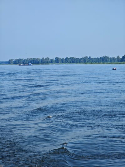The image depicts a wide river with a clear blue sky overhead. A line of green trees forms the distant shoreline. In the middle ground, a white and blue tugboat is visible towing a dark barge, moving from left to right. Further to the right, a small, dark boat with at least one person is also present on the water. The foreground of the image is dominated by the rippling surface of the river, with waves and wakes indicating movement. The overall scene is calm and serene, suggesting a typical summer day. The location is identified as the city of Piskunovka, Russia.