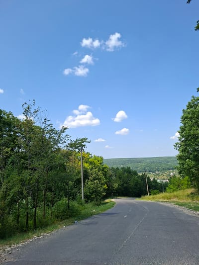 The image shows a winding asphalt road cutting through a lush, green landscape. On the left, dense trees line the road, with a variety of deciduous trees creating a thick canopy. The road curves to the right, leading towards a distant, hilly terrain dotted with houses and smaller structures, suggesting a village or small town. The sky is a clear, bright blue with a few scattered white clouds. The overall impression is one of a rural road on a sunny day, possibly in or near Condrița, Moldova, given the characteristic rolling hills and vegetation. No people or vehicles are visible in the frame. The environment appears serene and natural.