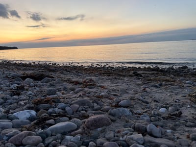 The image depicts a pebble beach at Dronningmølle, Denmark, during a sunset. The foreground is dominated by a textured surface of various sized grey and white pebbles, interspersed with dried seaweed. The middle ground shows a calm body of water, reflecting the soft hues of the sky. The horizon line is clearly defined, with a distant landmass visible on the left. The sky above exhibits a gradient of colors, transitioning from pale yellow and orange near the horizon to a soft blue towards the top, with scattered clouds. The overall atmosphere is serene and peaceful. There are no people or specific actions depicted in the image.