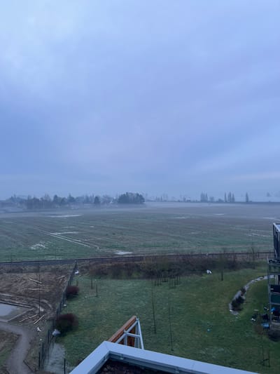 A landscape view from an elevated position features a vast field divided by a dark, vertical line of trees. To the left, a muted, cloudy sky fills the scene. The field shows signs of moisture and cultivated rows, blending into a grassy area on the right where parts of a building's structure are visible. The overall atmosphere is subdued with a palette dominated by blues, greens, and grays.