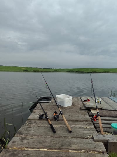 The image depicts a serene fishing scene on a wooden pier next to a body of water, possibly a lake or river, under an overcast sky. The location appears to be the Крошынскі сельскі Савет in Belarus, given the context.
The pier is constructed from weathered wooden planks, some of which show signs of age and wear. On the pier, several fishing rods are set up, indicating active fishing. One rod is positioned horizontally, resting on a small tripod, while two others are placed vertically, leaning against the pier. A white plastic bucket, likely used for storing bait or catch, is situated near the center of the pier. Nearby, there are two small jars, one red and one brown, and a few other fishing accessories. A green bucket is partially visible at the far right of the pier.
The water is calm with subtle ripples, reflecting the muted tones of the sky. Along the far bank of the water body, a lush green, gently rolling landscape is visible, dotted with trees in the distance. The sky is predominantly gray and cloudy, suggesting a cool or potentially rainy day. There are no people visible in the frame, emphasizing the solitary nature of the fishing activity. Reeds and tall grass are growing along the edge of the pier and in the water, adding to the natural ambiance of the location.