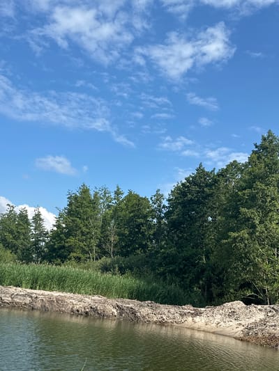 This is a landscape photograph taken outdoors in the city of Khlypnivka, Ukraine. The image features a body of green water in the foreground, with a sandy and muddy bank behind it. Beyond the bank, tall green grass grows, followed by a dense line of various trees, predominantly deciduous, with some coniferous trees interspersed. The sky above is a clear blue with scattered white clouds. The scene appears to be a natural environment, possibly a riverbank or a lakefront. There are no people or visible man-made structures in the image.