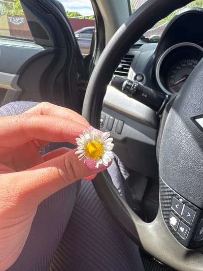 A single daisy is held by a fair-skinned hand with pink nail polish. The background features the interior of a car, with the steering wheel and dashboard visible. Outside the car window, a building is partially visible, obscuring any details. The location within Slobodka, Russia cannot be determined with the given details.
