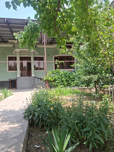 This is an outdoor, eye-level, medium shot of a residential property in Asaka, Uzbekistan. The scene is dominated by lush green foliage from trees and plants in the foreground and middle ground. A pale green, two-story house with a covered porch supported by two columns is visible in the background. The porch has a tiled staircase leading to a double door entrance. The house has multiple windows with decorative metal grilles. A corrugated metal roof extends over the porch and part of the house. The ground in front of the house is a paved walkway leading to a garden area with various flowers and plants. The overall impression is one of a well-maintained, residential property on a sunny day.