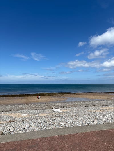 This image shows a seaside scene in Llandudno, United Kingdom, captured on a sunny day. The sky is clear blue, with fluffy white clouds dispersed across it. The sea extends into the distance, with a line of offshore wind turbines visible on the horizon. The beach is composed of pebbles and sand, with a narrow wet strip along the waterline.
A few people are visible on the beach. One individual in red and white is standing beside another individual, and what appears to be a stroller. There is also one dog on the beach, located near a large white rock.
The edge of the beach is bordered by a grey concrete wall and, beyond that, a reddish-brown surface, possibly a promenade.