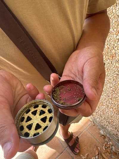 This media file shows a close-up, overhead view of a person holding an open metal herb grinder. The grinder is in two pieces, with the top half containing dried green herbs and the bottom half showing a grid of triangular and circular holes. The person's hands and arms are visible, as is their tan clothing, which appears to be a t-shirt or polo shirt and possibly shorts or trousers. A dark brown strap, possibly from a bag, is visible across the person's clothing, with faint text that may read "LACOSTE".

The background consists of a textured surface of small, light-colored stones, with hints of brown tile and dry leaves, suggesting an outdoor setting. The lighting indicates it is daytime, likely sunny, with shadows present. The overall mood appears casual and relaxed, with no strong emotional cues evident from the hands or visible parts of the person. There are no explicit indications of the specific location within Wissant, France, but the overall aesthetic suggests a possibly urban or semi-urban outdoor space. The activity is clearly the preparation of herbs using a grinder.