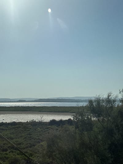 A bright, clear day is depicted, with a vast, pale blue sky dominating the upper portion of the image. A single, intense white light source, likely the sun, is visible high in the sky, creating a lens flare effect and causing a slight overexposure in that area. Below the sky, a wide expanse of water shimmers with reflected sunlight, its surface broken by ripples. This body of water appears to be a lake or a calm sea.
In the midground, a strip of dark green vegetation lines the edge of the water, creating a distinct boundary. Beyond this, a layer of land with rolling hills and more vegetation stretches into the distance, fading into a hazy blue silhouette against the sky.
The foreground is filled with dense, dark green scrub and trees, their branches and foliage creating a textured, almost shadowy layer. A thin, dark diagonal line, possibly a utility wire or a fence, runs across the lower left of the frame. Another thin, lighter-colored diagonal line, perhaps a power line pole, is visible on the far right.
The scene is peaceful and natural, with no signs of human activity or structures other than the implied utility lines. The image captures a serene landscape, likely a coastal or lakeside area, characterized by water, vegetation, and a bright sky. The location is identified as Bages, France.