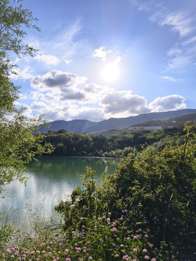 The image depicts a serene natural landscape, likely a lake or reservoir, bordered by lush green vegetation and rolling hills in the background. The sky is a vibrant blue with scattered white clouds, and the sun is shining brightly, casting a warm glow over the scene. In the foreground, a cluster of small pink flowers adds a touch of color to the grassy bank. The water is calm and reflects the sky and surrounding trees, creating a sense of tranquility. The overall impression is one of natural beauty and peacefulness. While the prompt mentions Kiparisnoe, Ukraine, there are no specific visual cues within the image to confirm this location. The scene is devoid of any human presence or activity.