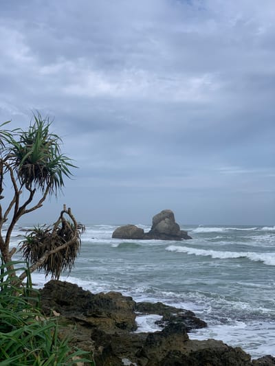 The image depicts a rocky coastline with waves crashing against the shore under a cloudy sky. In the foreground, a pandanus tree with long, spiky leaves and gnarled branches leans over the rocks. The ocean is a turbulent greenish-blue, with white foam and breaking waves. In the middle ground, large rock formations rise out of the sea. The sky is overcast with gray clouds, suggesting a moody or potentially stormy atmosphere. The scene is set in Koggala, Sri Lanka, a coastal town known for its beaches and natural beauty. There are no people or animals visible in the image.
