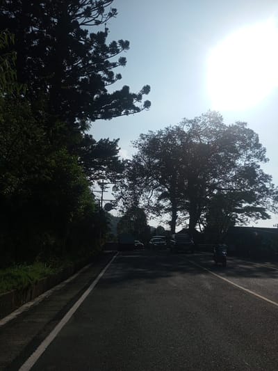 A sunny, daytime scene on a road in Phouviang-Gnai, Laos. The road is asphalt and has white lines marking the shoulder. On the left is a raised concrete curb with vegetation alongside it. The right side of the road shows some parked vehicles (cars and a motorcycle) along with people and trees. The sun is high in the sky, and it is obscured by a large tree on the right of the road. Electrical lines and poles are visible in the background.