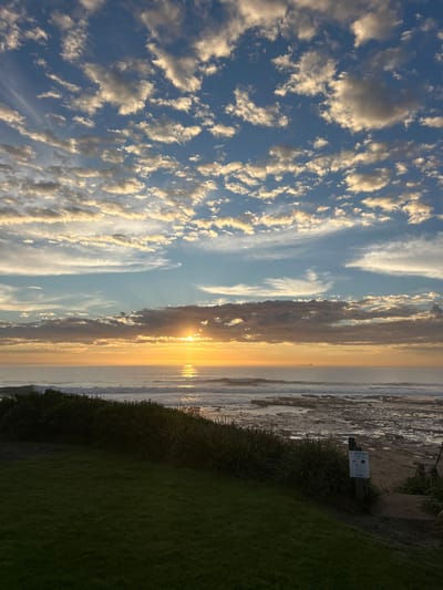 The image displays a coastal scene at sunrise within the Wollongong City Council, Australia. A low sun, casting a bright golden-orange glare, is positioned on the horizon line over the ocean. Sun rays are visible emanating from behind a horizontal band of dark clouds directly above the sun. The sky is largely clear blue, populated by numerous scattered altocumulus and stratocumulus clouds, illuminated with golden and white hues by the sun. The ocean surface reflects the sun's light strongly, and moderate waves are breaking closer to the shore. A wide, dark rocky intertidal zone is exposed along the immediate coastline. A large, dark cargo vessel is visible on the distant ocean horizon to the right. In the foreground, a dark green grassy slope occupies the lower left quadrant. A dense band of dark green coastal scrub separates the grass from the ocean. Positioned within this vegetation on the right is a wooden post bearing a multi-paneled white informational sign. Below and to the right of the sign, a dirt path or track descends towards the rocky shore, partially obscured by additional coastal foliage and a second wooden post with a short section of chain. No individuals are present in the scene.