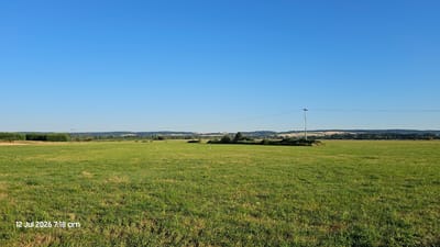 The image depicts a wide, open grassy field under a clear blue sky. A single, thin power line stretches horizontally across the frame, supported by a tall, slender pole on the left side of the image. In the distance, a line of trees forms a border along the horizon, with a town or village visible beyond them. Some buildings and wind turbines can be seen amongst the trees in the middle ground. The foreground is dominated by the green grass, with some patches of drier vegetation. A small, white bird, possibly a stork, is visible in the mid-ground of the field. The timestamp "12 Jul 2026 7:18 am" is overlaid on the bottom left corner of the image. The scene appears to be in Hainchen, Germany, given the rural landscape.
