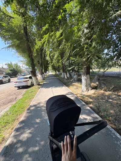 The image depicts a sun-drenched pedestrian walkway lined with a row of mature trees. The trees have whitewashed trunks, a common practice in some regions to protect them from pests and sun damage. On the left side of the walkway, a paved street is visible, with a white sedan parked on the side. Beyond the street, residential buildings and other vehicles are present. A black baby stroller is in the foreground, with a hand visible on its handlebar, suggesting someone is pushing it. The overall environment appears to be a residential or suburban area within the city of Talas, Kyrgyzstan, given the architectural style and the presence of trees typical of the region. The scene is brightly lit by natural sunlight, casting dappled shadows from the trees onto the walkway.