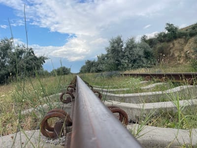 An outdoor, eye-level, wide shot shows a disused railway line vanishing into the distance under a partly cloudy sky. The railway tracks are made of metal and are supported by concrete sleepers, many of which are partially covered by grass and weeds. Rusty, spiral-shaped metal fasteners hold the tracks to the sleepers. The area around the tracks is overgrown with various types of grass and vegetation, including some small wildflowers. In the background, a gentle, grassy slope is covered with trees and shrubs. The scene appears to be in a rural or semi-rural setting, possibly on the outskirts of Manta, Moldova, given the presence of these types of tracks and vegetation. No people are visible in the image.