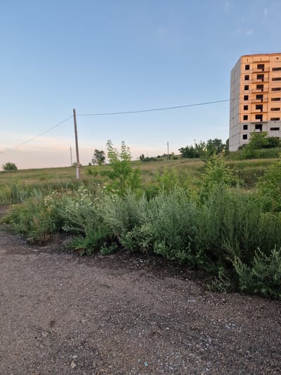 The image shows an unfinished concrete building under a clear blue sky. The building appears to be several stories high with exposed floors and window openings. In the foreground, there is a gravel path next to a lush green area with various plants and trees. A wooden pole with wires stretches across the scene, suggesting the presence of utility infrastructure. The overall setting is outdoors, with a natural landscape contrasting with the man-made structure. The lighting and sky suggest it might be late afternoon or early evening. No people are visible in the image, and there is no discernible text. The scene conveys a sense of ongoing construction and undeveloped land, possibly in a semi-rural or suburban area.