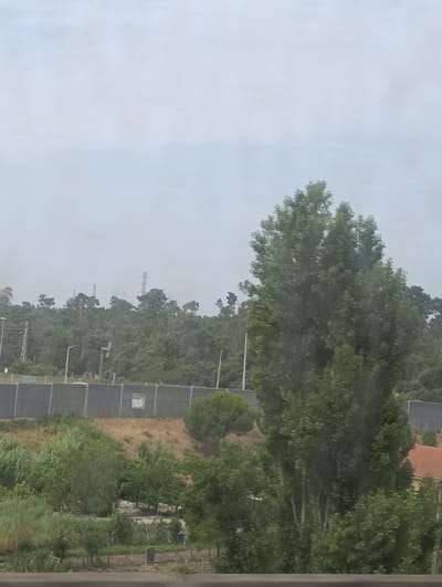 This image depicts a rural landscape scene in Seixal, Portugal, under an overcast sky. The foreground features a row of manicured bushes and trees, transitioning into a garden with small plots of cultivated plants and scattered debris. Behind this, a large, dense tree with light-colored bark dominates the mid-ground. Further back, a sound barrier wall runs horizontally across the image, separating the lower landscape from a wooded hillside dotted with various trees. In the distance, several tall transmission towers are visible above the treeline, hinting at the presence of infrastructure. The overall impression is one of a somewhat undeveloped or semi-rural area, likely on the outskirts of a town, with evidence of both natural vegetation and human activity. The time of day is not precisely discernible due to the cloud cover, but it appears to be daytime. There is no visible text in the image.