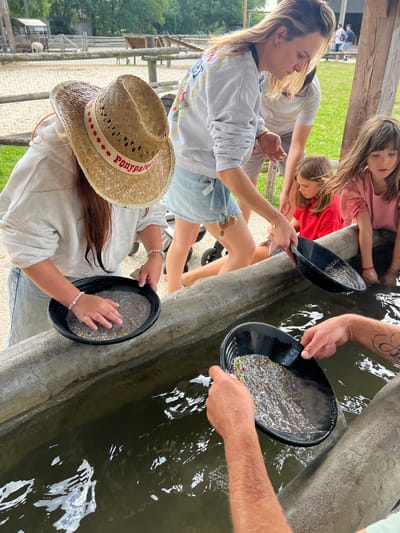 In the city of Collendoorn, Netherlands, a group of individuals are engaged in an activity that appears to be gold panning. The scene unfolds in an outdoor setting, possibly a park or a recreational area, with a long, concrete trough filled with water serving as the primary focal point.

Several people are gathered around the trough, with varying degrees of focus on their tasks. A young girl, wearing a pink t-shirt, is partially visible in the background, her hands submerged in the water. To her left, another young girl with brown hair, dressed in a red t-shirt, is also participating, her hands in the trough.

In the foreground, a person wearing a straw hat with a red band that reads "Ponypark" is holding a black pan filled with water and what appears to be small, colorful pebbles or stones. Their hands are actively sifting through the contents. Beside them, another individual, whose arms and tattooed shoulder are visible, is also holding a similar black pan, tilting it to allow water to flow out, revealing a collection of the small, colorful items. The hands of this individual are positioned as if to carefully separate or inspect the contents of the pan.

The water in the trough is murky and reflects the sky and surrounding greenery. The trough itself is made of concrete and shows signs of wear. Behind the trough, wooden fences and structures can be seen, suggesting a rustic or farm-like environment. In the far background, a sheep is visible near a wooden enclosure, further reinforcing the rural or park-like atmosphere. The overall impression is one of a leisure activity, likely educational or entertaining, taking place in a naturalistic setting.
