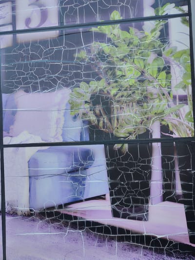The image depicts a close-up view of a cracked surface, possibly a distressed photograph or a painted mural. The cracked effect creates a network of fine white lines overlaying a scene of domestic interior. In the upper section, lush green foliage from a potted plant is visible against a dark background. Below this, a blue sofa with light purple cushions and a draped throw blanket is partially seen. The overall color palette is dominated by shades of purple, blue, green, and black, with the white cracks adding a textural element. There are no people visible in the image. The image's context within Bielany Wrocławskie, Poland, is not discernible from the visual information provided.
