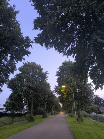 This image depicts a tree-lined road in Almere, Netherlands, during twilight. The sky is a gradient of pale blue and pink, with a sliver of the moon visible in the upper left quadrant. Large, leafy trees frame the scene on either side, creating a canopy effect over the asphalt road. A streetlamp on the right side of the road is illuminated with a warm yellow glow, and a vehicle with its headlights on is approaching in the distance. Houses with modern architecture are visible behind the trees on the left, and on the right, there is a canal or ditch lined with grass and some piled gravel. The overall atmosphere is peaceful and serene.