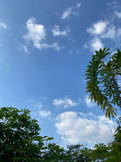 The image depicts a clear blue sky with scattered white clouds, viewed from below. In the foreground and framing the sky on the left and right are lush green foliage, appearing to be from trees. The leaves are large and palmate, with some showing slight yellowing, suggesting the time of year or natural leaf aging. The scene is likely outdoors, with the camera pointed upwards towards the sky, capturing a natural, arboreal environment. The location is specified as Kresek, Indonesia, implying a tropical or subtropical setting conducive to this type of vegetation and clear sky conditions. No people or specific structures are visible.