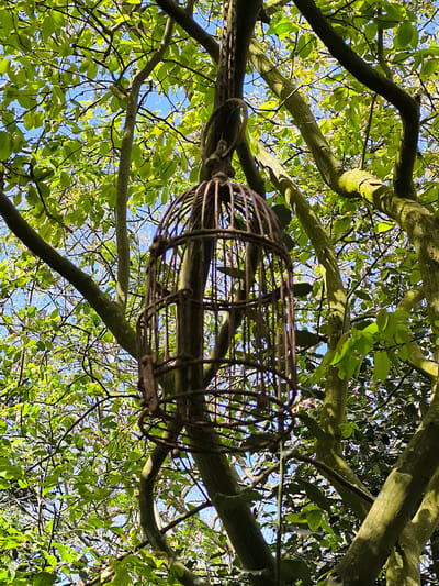 The image shows an old, rusty birdcage hanging from a tree in Sint Maartensvlotbrug, Netherlands. The cage is made of dark metal bars and has a rounded shape. It appears to be suspended by a rusty chain or wire that is intertwined with the branches of the tree. The tree has green leaves and branches, partially obscuring a blue sky in the background. The lighting suggests it is daytime.