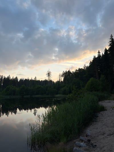 The image depicts a serene natural scene at the edge of a lake. The sky is filled with dramatic clouds, illuminated by soft, warm light from the setting or rising sun, creating a contrast between the dark clouds and patches of orange and yellow. A dense forest lines the far bank of the lake, with the silhouettes of tall pine trees visible against the sky. The water of the lake is calm and reflective, mirroring the trees and the sky. Lush green reeds and tall grass grow along the near bank, leading to a sandy shore. A few weathered logs are scattered on the sand, suggesting a natural, undeveloped area. The overall atmosphere is peaceful and tranquil. The location is identified as Orekhovo, Russia. There are no people or animals visible in the image, nor any signs of human activity beyond the scattered logs on the shore.