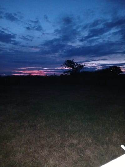 The image depicts a rural landscape at dusk. The sky is a deep blue with dramatic clouds, tinged with pink and orange near the horizon, suggesting a sunset. Silhouetted against the sky are a few scattered trees and what appear to be utility poles. The foreground consists of a dark, unlit grassy field. The overall scene is dark and quiet, characteristic of twilight in a rural area. The specific location of Novaya Kosa, Russia, is not discernible from the visual elements of the image.