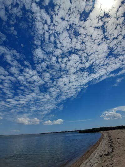 The image depicts a picturesque scene of a beach and the sky. The sky is a vibrant blue, dotted with numerous small, fluffy white clouds. The sun is visible in the upper left corner, partially obscured by some of these clouds, indicating it's daytime. The clouds are scattered across a large portion of the sky, creating a dynamic and textured appearance.

To the right of the sky, a sandy beach stretches along the edge of a body of water. The sand appears light brown and has some darker patches, possibly seaweed or debris. The water is a deep blue and appears calm, with gentle ripples on its surface. A faint horizon line separates the water from the sky, with a thin strip of dark green trees visible along the far edge of the beach.

The overall impression is one of a clear, sunny day at the coast, likely in the late morning or early afternoon, given the brightness. The composition, with the expansive sky and serene water, evokes a sense of tranquility and natural beauty. There is no visible text in the image, nor any people or specific man-made objects that would indicate a particular activity other than a general coastal scene. The location context suggests this scene is in Sukholuzhzhia, Ukraine.