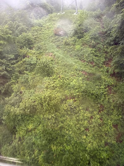 The image shows a dense, overgrown hillside covered in vibrant green foliage. The hillside appears to be steep and rugged, with patches of dark soil visible beneath the vegetation. A large, moss-covered boulder rests on the slope. In the upper right portion of the image, a portion of a metal tower structure is visible, suggesting it may be part of a ski lift or transmission tower. The atmosphere is hazy or foggy, obscuring distant details and giving the scene a muted, ethereal quality. The overall impression is one of a wild, natural landscape, possibly in a mountainous region. The image is not set in the city of Hüsen, Switzerland, as no identifying landmarks or context are present to suggest this location.