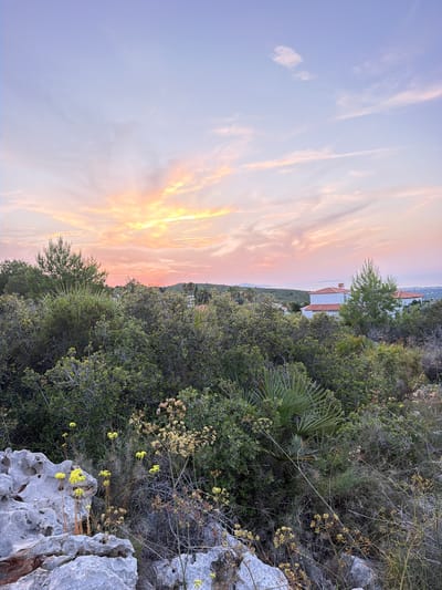 This is a vertical, eye-level, medium shot of a sunset over a coastal landscape. The sky is filled with soft pink and orange clouds, with the sun, just below the horizon, casting rays of light upwards. The foreground is dominated by dense green foliage, including various shrubs and some palm fronds. In the middle ground, a white house with a red-tiled roof is visible amidst the vegetation. The background shows a hazy coastline with the sea in the distance, and rolling hills under the pastel-colored sky. The overall impression is one of natural beauty and tranquility. The scene is located in the city of La Pedrera, Spain. There are no people or animals visible in the image.