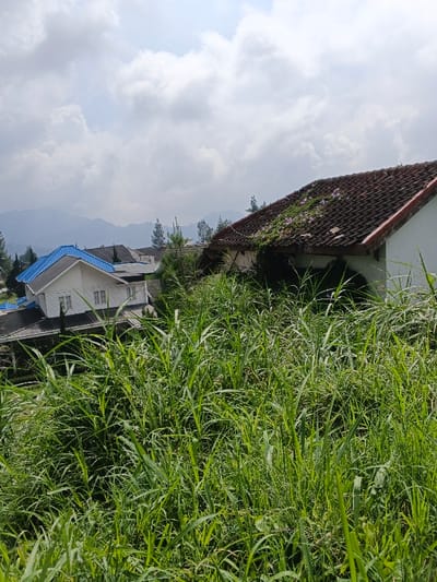 A high-angle view showcases overgrown green grasses in the foreground. In the background, a couple of houses are partially visible. One has a blue roof and white walls; the other features a reddish-brown tiled roof with some vine growth. Further back, a slightly out-of-focus mountain range stretches across the horizon under a cloudy sky.