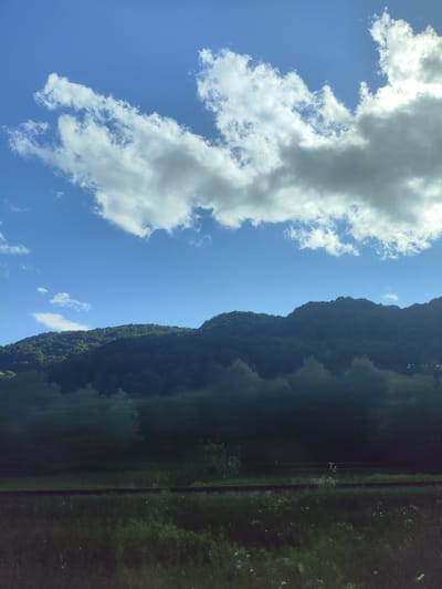 The image depicts a natural landscape under a bright blue sky dotted with fluffy white and gray clouds. In the foreground, a grassy field with scattered white wildflowers is visible, bordered by a dark, horizontal line that appears to be a railway track. Beyond the track, the land slopes upwards, covered by a dense, dark green forest that climbs the side of a rolling mountain. The trees on the mountain are silhouetted against the sky, and some appear as dark, triangular shapes. The overall scene suggests a peaceful, rural setting, possibly in the late afternoon or early evening, given the dappled sunlight and the way shadows are cast. The mood is serene and tranquil, evoking a sense of natural beauty and quietude. No people, objects, or text are clearly identifiable in the image. The location context is Vișeu de Jos, Romania.