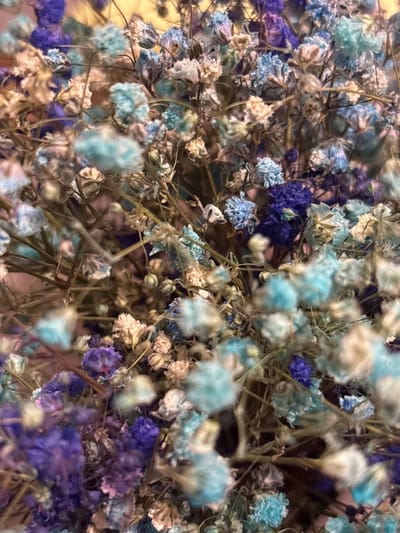 The image shows a close-up, shallow depth of field view of dried baby's breath flowers. The flowers are dyed in shades of purple, blue, and cream. The stems are thin and brown. The background is blurred and appears to be a warm, light color. There are no people or discernible actions depicted. The image is an artistic still life composition of dried flowers. The location is stated as Novaya Usman, Russia, but the image itself does not contain any visual cues to confirm this location.