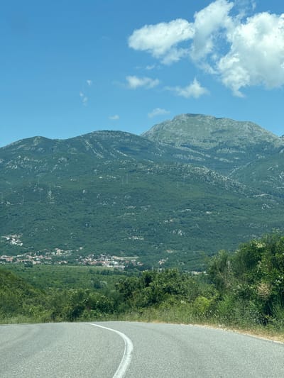The image presents a sunlit, panoramic landscape in Kubasi, Montenegro. In the immediate foreground, an asphalt road curves to the left, marked by a solid white line along its inner edge. The right side of the road is bordered by dense green vegetation, consisting of shrubs, grasses, and some plants with small white flowers.
The midground features a verdant valley, heavily forested with trees and bushes. Nestled within this valley, a village is visible, characterized by numerous houses with predominantly light-colored roofs, scattered across the lower slopes. Faint power line structures or utility poles are discernible extending across the tree-covered mountainside above the village.
The background is dominated by large, imposing mountains, richly covered in green foliage, with some sections revealing rocky outcrops. The peak of the highest mountain is visible against the sky. The sky above is a clear, bright blue, accented by several white, fluffy cumulus clouds, primarily in the upper right quadrant of the frame. The overall lighting suggests bright daylight conditions. No individuals, animals, or vehicles are present in the scene.