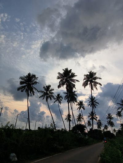 The image depicts a road in Chopdem, India, lined with tall palm trees silhouetted against a cloudy sky. Streetlights are visible along the road. A motorcycle with its taillight illuminated is seen in the distance on the road. The sky is a mix of light and dark clouds. Wires run above the trees on the left side. Bushes line the side of the road. The image appears to be taken at dusk or dawn.
