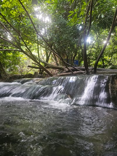 The image depicts a close-up view of a waterfall cascading over rocks, surrounded by lush green foliage and trees. The sunbeams pierce through the dense canopy, creating dappled light effects on the water and vegetation. Several branches from the surrounding trees reach across the frame, some hanging low over the water. A blue sign is partially visible among the trees on the left side of the image. The water appears clear and is flowing rapidly, creating a sense of movement and tranquility. The scene is set in a natural, tropical environment, likely a forest or jungle, given the abundant greenery and the presence of a waterfall. The time of day appears to be daytime, with bright sunlight indicating a clear or partly cloudy sky. The overall mood is serene and refreshing, capturing the beauty of nature.