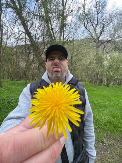 A man in a black baseball cap, gray hoodie, and black puffer vest is holding a yellow dandelion flower up to the camera. He is sticking his tongue out. The background shows a wooded area with green grass. The location is not specified.