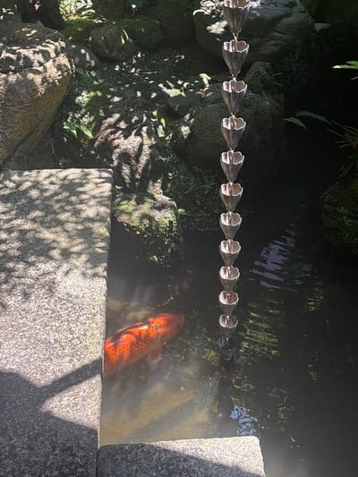 The scene depicts an outdoor garden environment in Kanazawa, Japan. A prominent orange koi fish with white markings is observed in the clear water in the lower-left section, positioned alongside a light-colored, textured stone slab. Overhead foliage casts dappled shadows across the stone surface and the surrounding ground. To the right, a traditional kusari-doi (rain chain) composed of interconnected metal, cup-shaped elements descends vertically, with its lower end submerged in the water, causing ripples. Large natural rocks, some covered in moss and small green plants including ferns, define the edges of the water body and form the background. The water appears dark in areas, reflecting light and elements above. No individuals are visible.