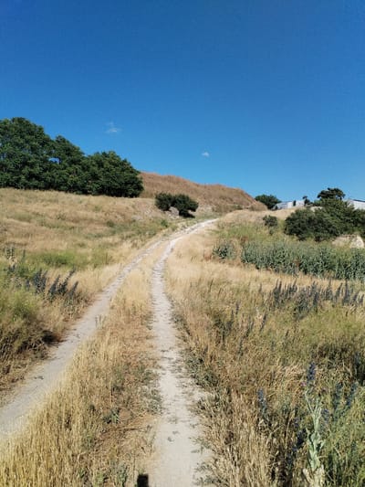 A dirt road winds through a dry, grassy hillside under a clear blue sky. Tall, dark green trees line the top of the hill on the left, contrasting with the dry, golden grass and vegetation that covers the slopes. A few smaller trees and bushes are scattered across the landscape. In the distance, on the right side of the hill, a modern, white building with a silver roof is visible, suggesting human presence. The road is well-trodden, indicating regular use. The overall impression is one of a rural, somewhat arid environment. The location is identified as Bilousivka, Ukraine.