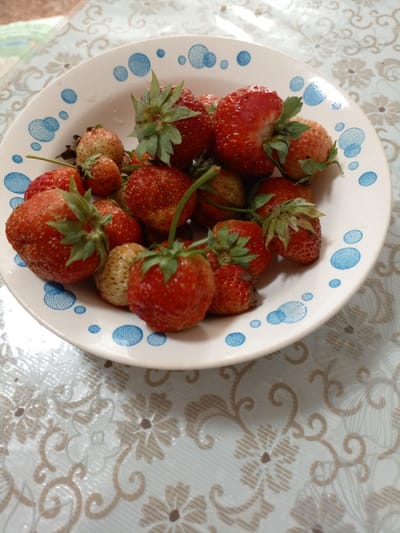 A white ceramic bowl filled with strawberries sits on a patterned tablecloth. The bowl has a decorative border with blue polka dots and a blue rim. The strawberries are various shades of red and some appear to be lighter, possibly unripe or a different variety. Some have green stems and leaves attached. The tablecloth has a floral and swirling pattern in beige and white. The lighting suggests it could be daytime. There is no visible text in the image. The scene appears to be a simple still life of fresh fruit.