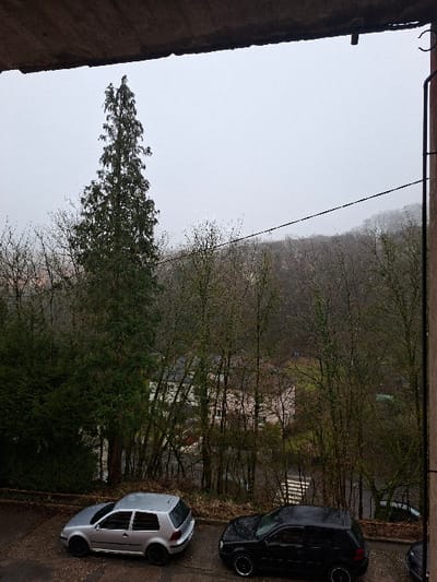The image depicts an elevated view of a residential and wooded hillside environment in Villerupt, France, under an overcast sky. The foreground features a concrete overhang at the top, suggesting the perspective is from a balcony or roof. Below, a paved surface, likely a street or parking area, shows two parked Volkswagen Golf hatchback cars. The car on the left is silver, a 2-door model with black rims, facing left. The car on the right is black, also a 2-door model with black rims featuring chrome accents, facing right.

Beyond the paved area, a brown railing or low fence separates it from a downward sloping, heavily wooded terrain. A tall, slender evergreen tree stands prominently to the left of the frame. The hillside is populated with numerous deciduous trees, many appearing bare or with sparse foliage, characteristic of late winter or early spring. Scattered among these trees are several houses with light-colored facades and dark roofs. A road with a visible pedestrian crossing (zebra stripes) can be seen further down the slope. A black power line or cable extends horizontally across the mid-ground, originating from a dark vertical structure on the far right. The background consists of more wooded hillsides, receding into a light grey, misty atmosphere. No individuals are visible. The overall scene conveys a cool, damp, and quiet environment.