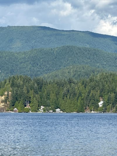The image captures a serene lakefront scene with lush green mountains in the background. The foreground is dominated by the calm, blue waters of the lake, reflecting the overcast sky. Along the shoreline, a dense forest of evergreen trees meets the water. Nestled amongst the trees are several houses, some with white roofs and others with red. The houses appear to be waterfront properties, with a few docks extending into the lake. In the distance, layered mountain ranges covered in trees create a sense of depth. Power lines with insulators are visible stretching across the forested slopes. The scene evokes a sense of tranquility and natural beauty, likely in a rural or semi-rural area. The location is likely in the District of North Vancouver, Canada, given the characteristic evergreen forests and mountainous terrain surrounding bodies of water in that region.