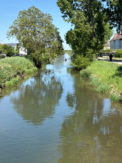 A horizontal medium shot shows a water canal in Wiener Neustadt, Austria, with grassy banks, trees on either side, a few ducks in the canal, and buildings in the background. On the left, a large tree with dense green foliage partially obscures a light-colored building with a gable roof. In the foreground, the canal stretches into the distance, its surface reflecting the sky and trees, giving it a mottled green and blue appearance. The canal banks are covered with lush green grass and reeds. Further down the canal, several ducks are visible, floating on the water's surface. On the right bank, there is another tree, with its reflection more prominently visible in the water. Beyond the grassy bank, a partially visible building is discernible. A person is walking on a paved path alongside the canal on the upper left of the image. The sky is a clear, bright blue, suggesting a sunny day.