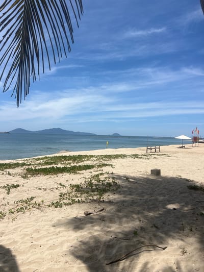 The image depicts a serene beach scene with a palm frond in the foreground casting shadows on the sand. The beach itself is golden, with sparse green vegetation growing on it. In the middle ground, a calm, blue ocean stretches out to the horizon, meeting a line of hazy mountains under a bright blue sky with wispy white clouds. Towards the right side of the beach, a white umbrella stands open, accompanied by a small wooden structure and a set of colorful flags. The scene appears tranquil and uninhabited. This is likely An Bang Beach in Hoi An, Vietnam, a popular tourist destination known for its picturesque coastline and relaxed atmosphere.